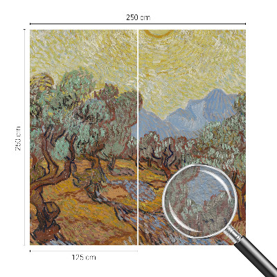 Fototapeta na ścianę Oliwne drzewa