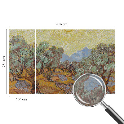 Fototapeta na ścianę Oliwne drzewa