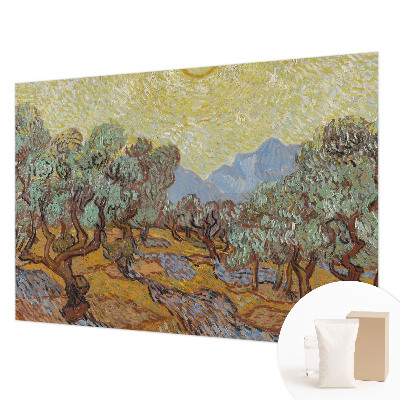 Fototapeta na ścianę Oliwne drzewa