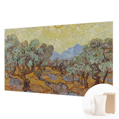 Fototapeta na ścianę Oliwne drzewa