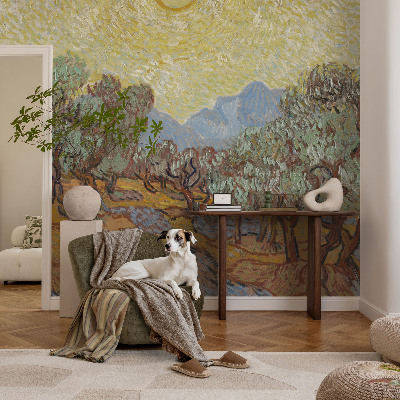 Fototapeta na ścianę Oliwne drzewa