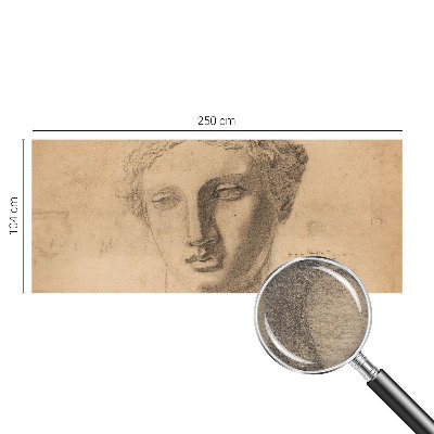 Fototapeta fizelinowa do sypialni Fototapeta fizelinowa do sypialni Kobiecy portret