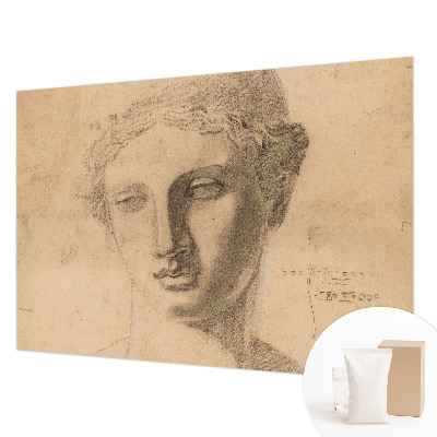 Fototapeta fizelinowa do sypialni Fototapeta fizelinowa do sypialni Kobiecy portret