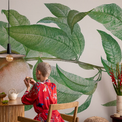 Tapeta fotograficzna fizelinowa Tapeta fotograficzna fizelinowa Dojrzała brzoskwinia