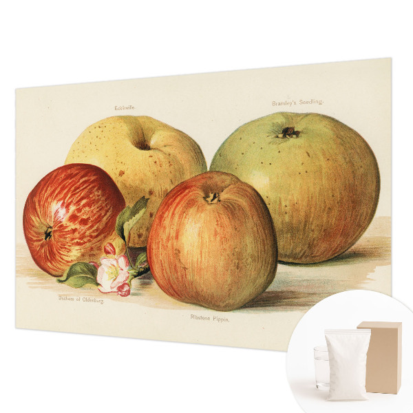 Dekoracyjna fototapeta na ścianę Dekoracyjna fototapeta na ścianę Jabłka kwiaty