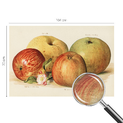 Dekoracyjna fototapeta na ścianę Dekoracyjna fototapeta na ścianę Jabłka kwiaty