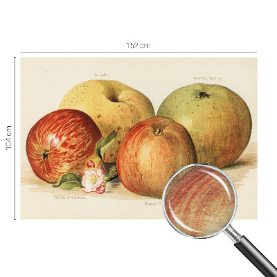 Dekoracyjna fototapeta na ścianę Dekoracyjna fototapeta na ścianę Jabłka kwiaty