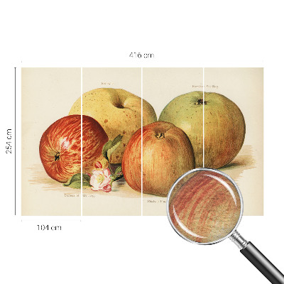 Dekoracyjna fototapeta na ścianę Dekoracyjna fototapeta na ścianę Jabłka kwiaty