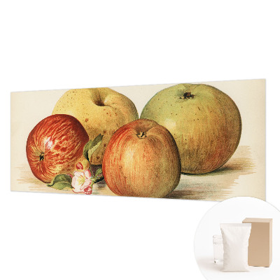 Dekoracyjna fototapeta na ścianę Dekoracyjna fototapeta na ścianę Jabłka kwiaty