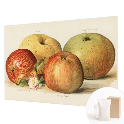 Dekoracyjna fototapeta na ścianę Dekoracyjna fototapeta na ścianę Jabłka kwiaty