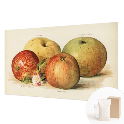 Dekoracyjna fototapeta na ścianę Dekoracyjna fototapeta na ścianę Jabłka kwiaty