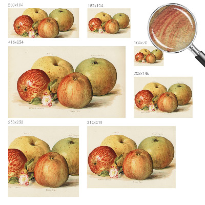 Dekoracyjna fototapeta na ścianę Dekoracyjna fototapeta na ścianę Jabłka kwiaty