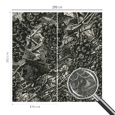 Nowoczesna fototapeta do salonu Nowoczesna fototapeta do salonu Winogronowy nadruk