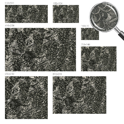 Nowoczesna fototapeta do salonu Nowoczesna fototapeta do salonu Winogronowy nadruk