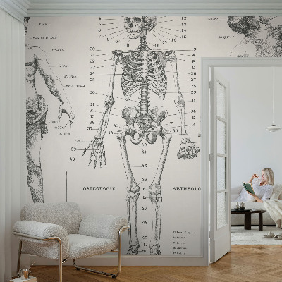 Dekoracyjna fototapeta na ścianę z motywem klasycznej anatomii