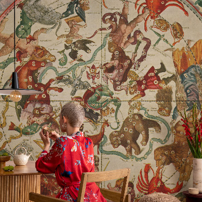 Tapeta fotograficzna fizelinowa Tapeta fotograficzna fizelinowa Gwiezdne kompozycje