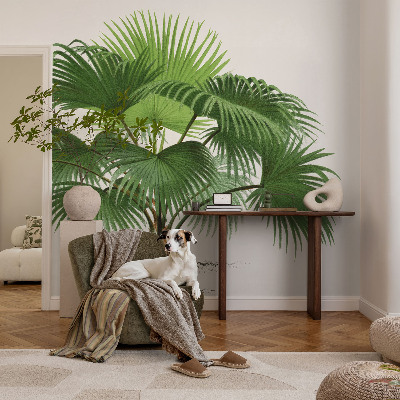 Nowoczesna fototapeta do salonu Egzotyczna palma