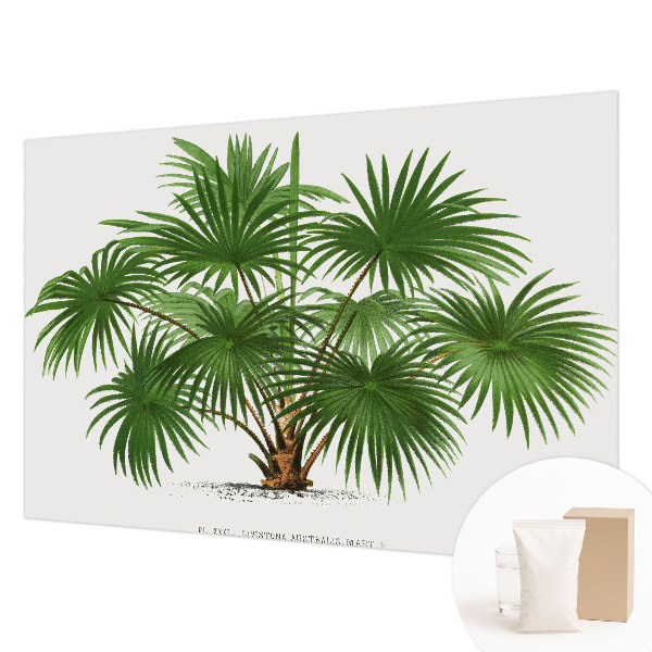 Dekoracyjna fototapeta na ścianę Egzotyczny wzór