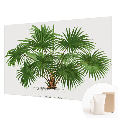 Dekoracyjna fototapeta na ścianę Egzotyczny wzór