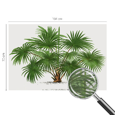 Dekoracyjna fototapeta na ścianę Egzotyczny wzór