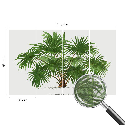 Dekoracyjna fototapeta na ścianę Egzotyczny wzór