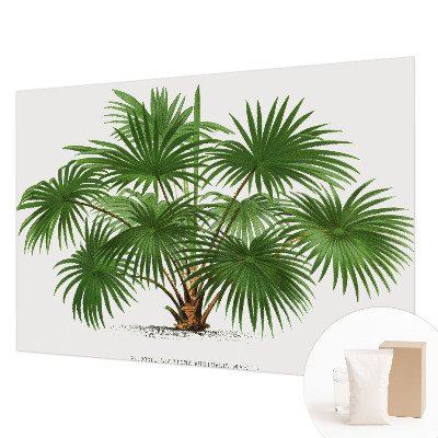 Dekoracyjna fototapeta na ścianę Egzotyczny wzór