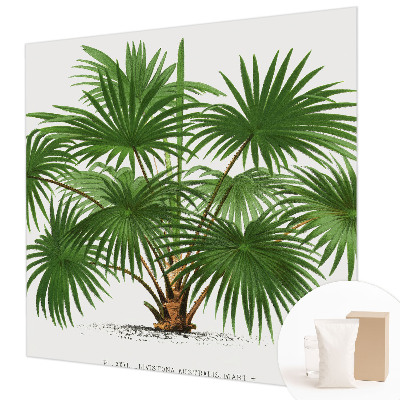 Dekoracyjna fototapeta na ścianę Egzotyczny wzór