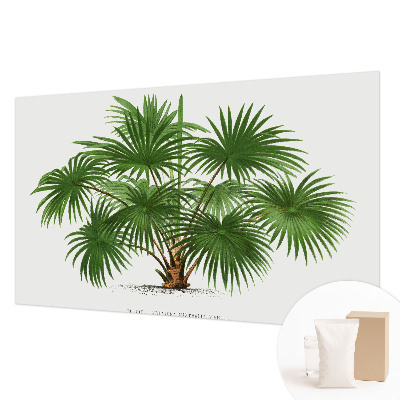 Dekoracyjna fototapeta na ścianę Egzotyczny wzór