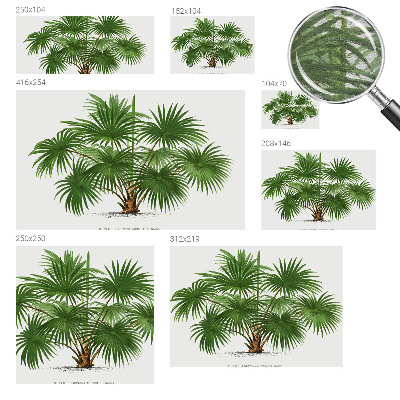 Dekoracyjna fototapeta na ścianę Egzotyczny wzór