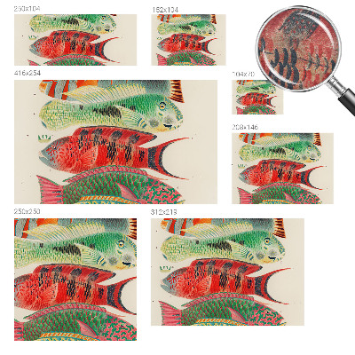 Fototapeta fizelinowa do sypialni Egzotyczne ryby