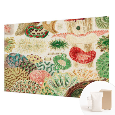 Fototapeta na ścianę Fototapeta na ścianę Organiczne kształty