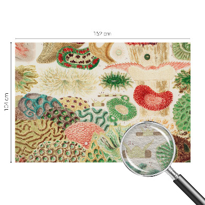 Fototapeta na ścianę Organiczne kształty