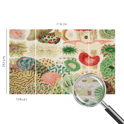 Fototapeta na ścianę Organiczne kształty