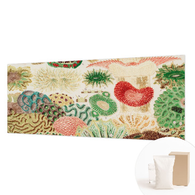 Fototapeta na ścianę Organiczne kształty