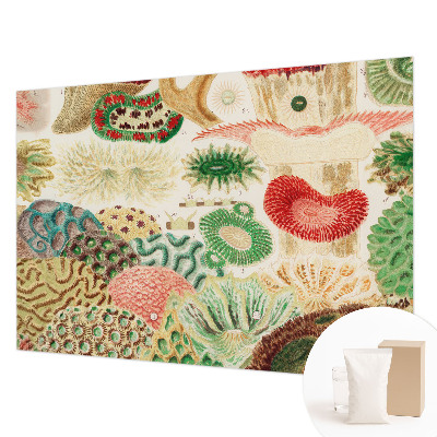 Fototapeta na ścianę Organiczne kształty