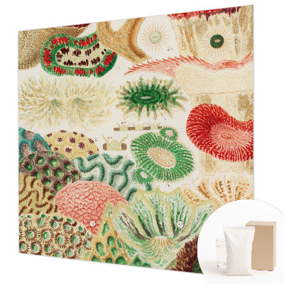 Fototapeta na ścianę Organiczne kształty