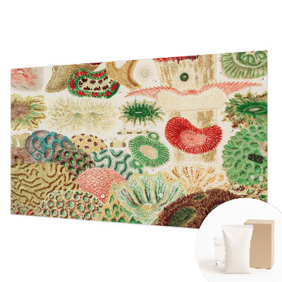 Fototapeta na ścianę Organiczne kształty