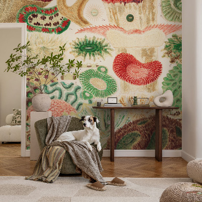 Fototapeta na ścianę Organiczne kształty