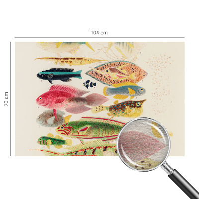 Tapeta fotograficzna Kolorowe ryby