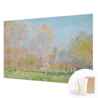 Tapeta fotograficzna Wiosenny park