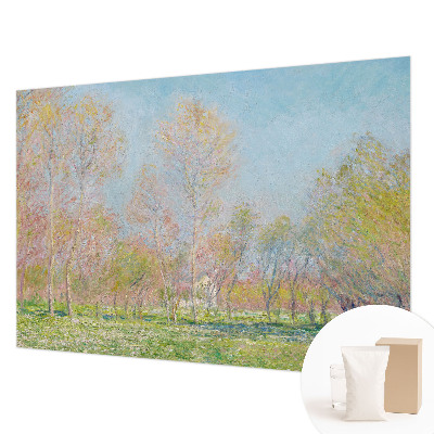 Tapeta fotograficzna Tapeta fotograficzna Wiosenny park