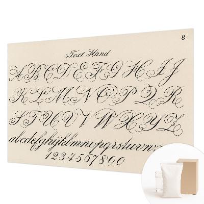 Dekoracyjna fototapeta na ścianę Dekoracyjna fototapeta na ścianę Pismo kaligraficzne