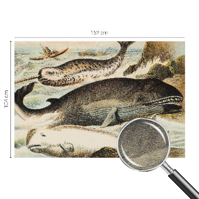 Fototapeta fizelinowa do sypialni Fototapeta fizelinowa do sypialni Morskie olbrzymy