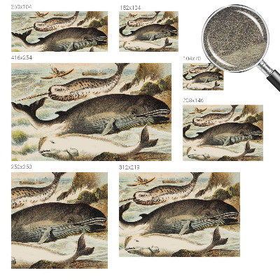 Fototapeta fizelinowa do sypialni Fototapeta fizelinowa do sypialni Morskie olbrzymy