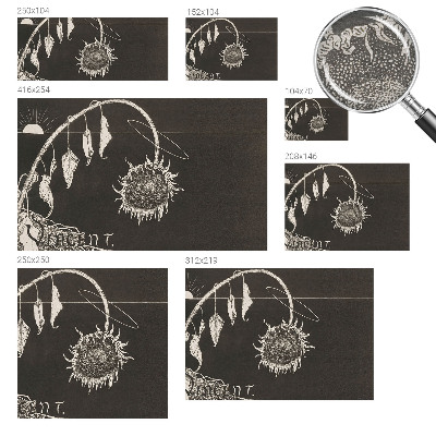 Nowoczesna fototapeta do salonu Nostalgiczny słonecznik