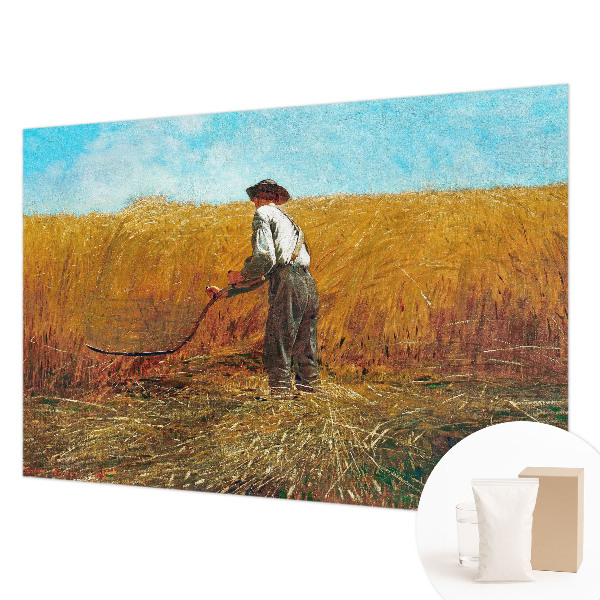 Fototapeta fizelinowa do sypialni Fototapeta fizelinowa do sypialni Żniwa w słońcu