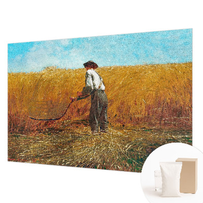 Fototapeta fizelinowa do sypialni Fototapeta fizelinowa do sypialni Żniwa w słońcu