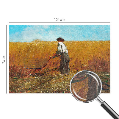 Fototapeta fizelinowa do sypialni Fototapeta fizelinowa do sypialni Żniwa w słońcu