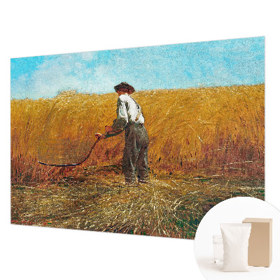 Fototapeta fizelinowa do sypialni Fototapeta fizelinowa do sypialni Żniwa w słońcu