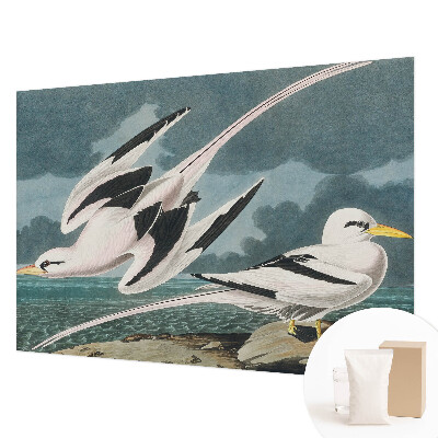 Fototapeta fizelinowa z nadrukiem Ptaki nad morzem